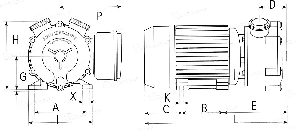Bomba Electrica 24V 75l/min GOLDENSHIP 