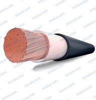CABLE H05V/H07V 25 NEGRO 12m 