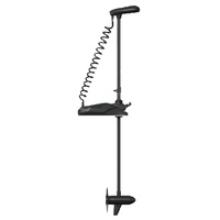 Motor Electrico PULSAR 36V GPS 250 CM